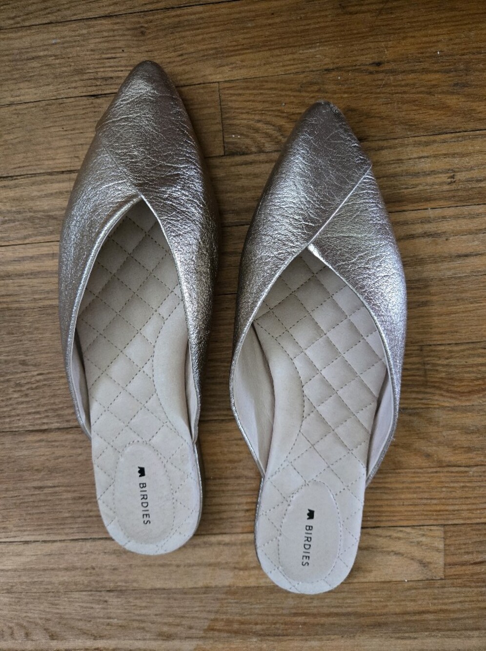 Birdies Metallic Silver Pointed Toe Flats